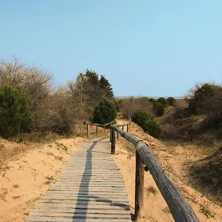 伊甸园公寓 *